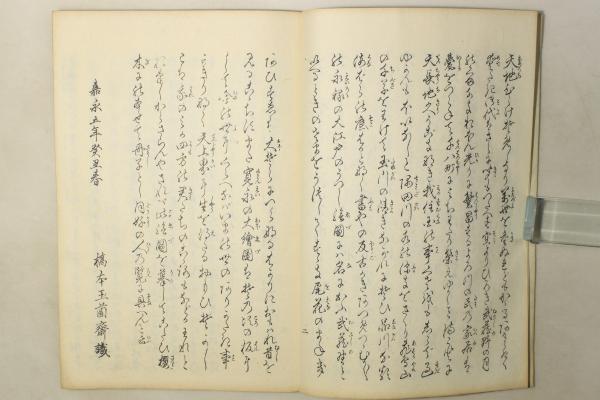 御江戸図説集覧(図:橋本貞秀(歌川貞秀) 編:山崎美成) / Cosyo