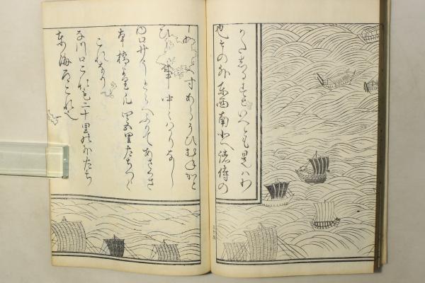 経典 御江戸図説集覧(図:橋本貞秀(歌川貞秀) 編:山崎美成) Cosyo / 和書