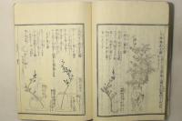 青山御流活花手引種 後篇