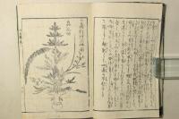 時粧 立華早稽古