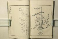 時粧 立華早稽古