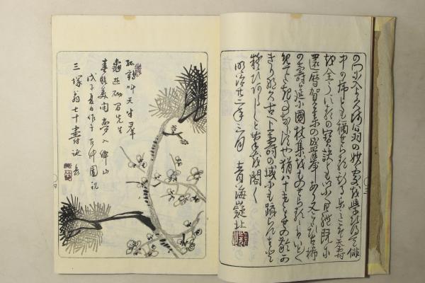 甲子夜話(松浦静山 松浦詮 大槻如電) / Cosyo Cosyo / 古本