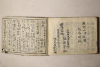 冠附 青木賊(青とくさ)