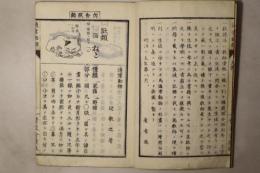 通常動物 全