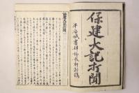 保建大記打聞