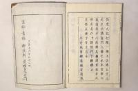 保建大記打聞
