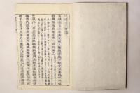 保建大記打聞
