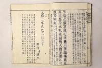 保建大記打聞