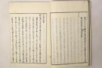 百首異見