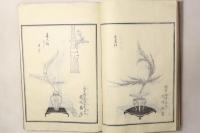 古流生花 四時の友 全