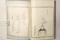 古流生花 四時の友 全