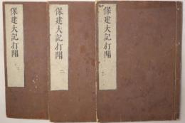 保建大記打聞