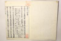 保建大記打聞