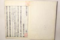 保建大記打聞