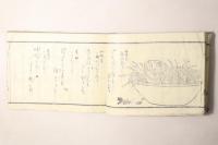冠附 四季の花 全