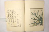 四季乃花(絵本四季花)