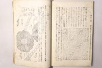 近世女風俗考 全