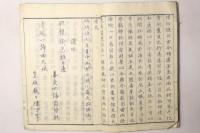 護王大神記