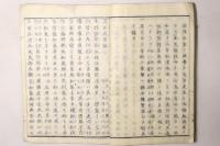 護王大神記