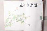 茶花(四季おりおりの茶花)