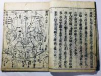 十四経和語抄(十四経絡発揮和解)