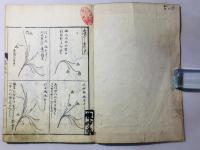 挿花 秘伝図式
