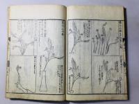 挿花 秘伝図式