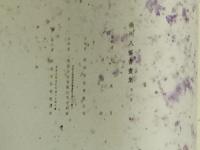 揚州八怪書画集 第2冊