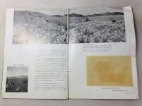 国定公園 秋吉台・秋芳洞の大観 現実より幽幻の彼方へ