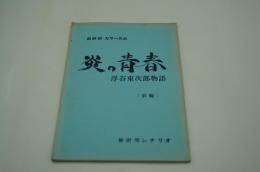 映画台本『炎の青春 浮谷東次郎物語（仮題・検討用シナリオ）』（未製作）