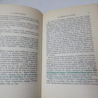  La Pensée Sauvage　(野生の思考)