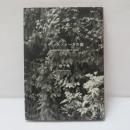 レヴィ=ストロースの庭