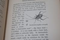 Exotics and Retrospectives　(異国風物と回想)