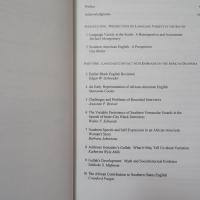 Language Variety in the South Revisited