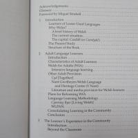 Social Context and Fluency in L2 Learners: The Case of Wales