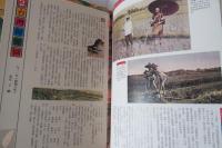 台湾鳥瞰図: 一九三〇年代台湾地誌絵集