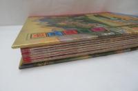 台湾鳥瞰図: 一九三〇年代台湾地誌絵集