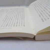 マクドナルド化の世界 : そのテーマは何か?