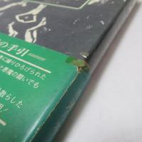 悪魔考 : 神に叛かれた者たち