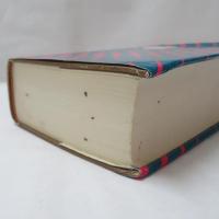 A NEW CHINESE-ENGLISH DICTIONARY（新漢英詞典）