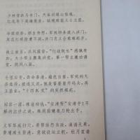 香港洪幫　(香港紀実叢書)