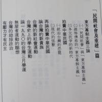 台灣政治的深層批判