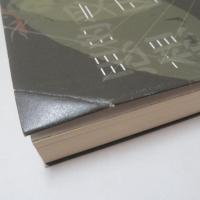 受困的思想：臺灣重返世界