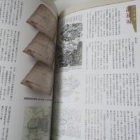  裨海紀遊　新注