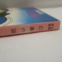 幻島の謎 : 北極奇談