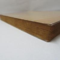 光をはこぶもの : 変革期の詩人たち