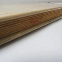 汚れなき悪戯 : パンとブドウ酒のマルセリーノー両親が子供たちに聞かせる物語