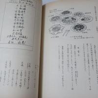 書と絵で語る北京天津瀋陽の旅