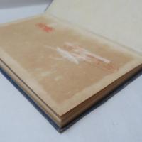 南京案内記 : 古史の金陵城 : 新中国の首都