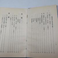 南京案内記 : 古史の金陵城 : 新中国の首都